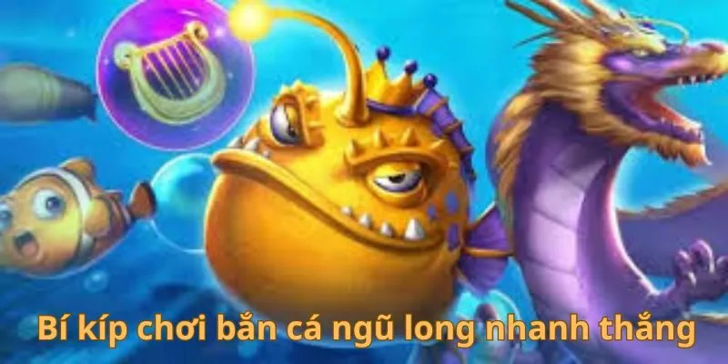 Bí kíp chơi bắn cá ngũ long nhanh thắng 