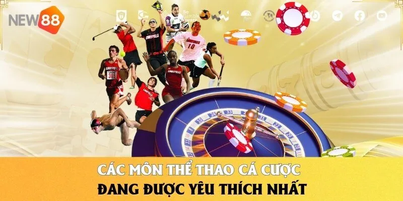 Các môn thể thao cá cược đang được yêu thích nhất