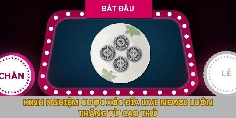 Kinh nghiệm cược Xóc Đĩa live New88 luôn thắng từ cao thủ