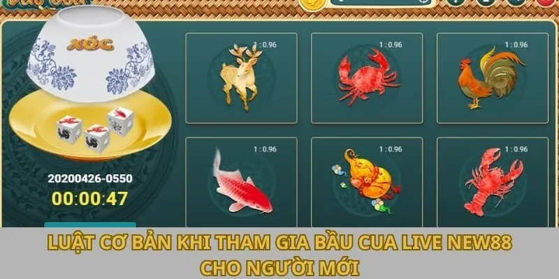 Luật cơ bản khi tham gia Bầu Cua live New88 cho người mới