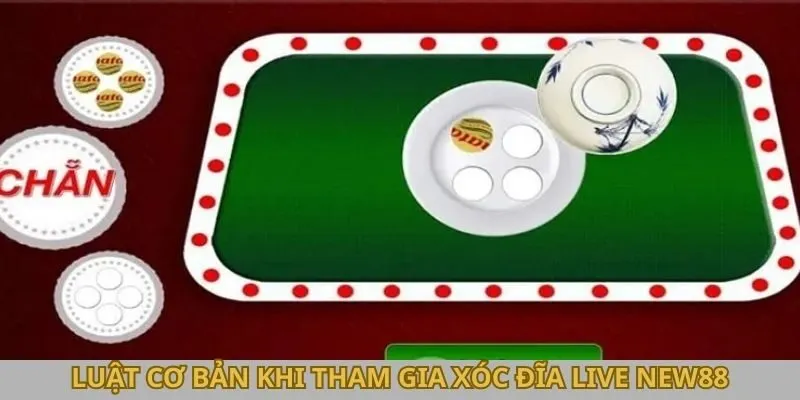 Luật cơ bản khi tham gia Xóc Đĩa live New88 