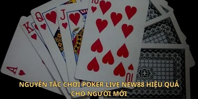 Nguyên tắc chơi Poker live New88 hiệu quả cho người mới