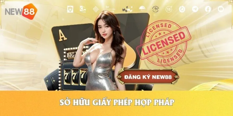 Sở hữu giấy phép hợp pháp