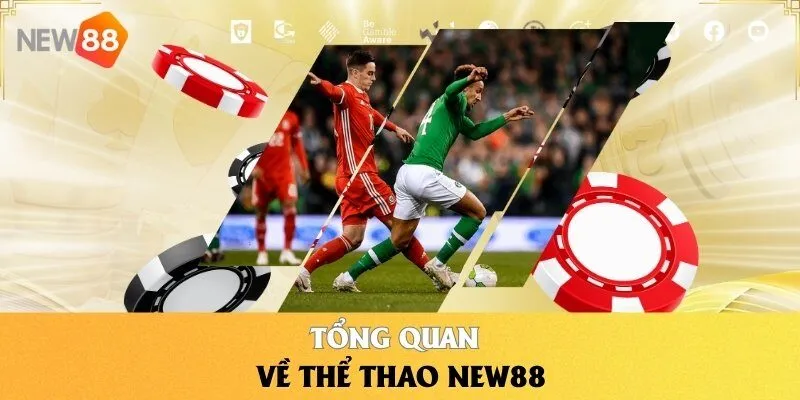 Tổng quan về Thể Thao NEW88